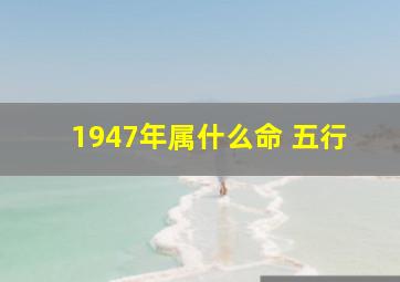 1947年属什么命 五行